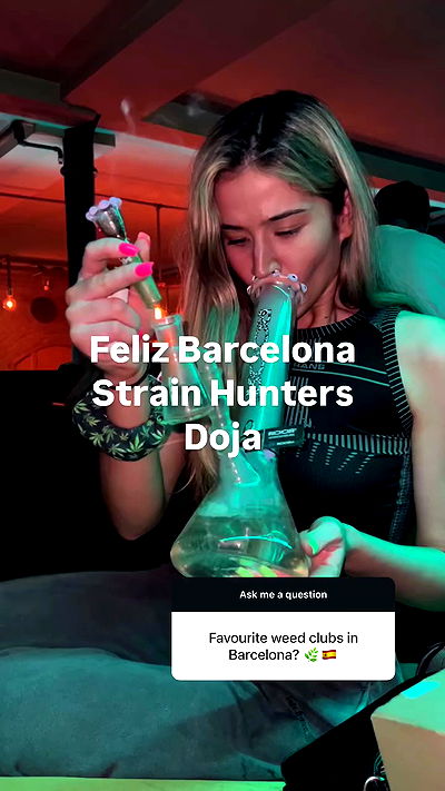 bakedsloths bakedsloths archive video