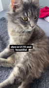 nylthria Altpins Profile Picture