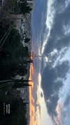naama_gabbay Altpins Profile Picture
