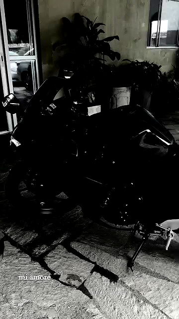 gabnoyr gabnoyr archive video