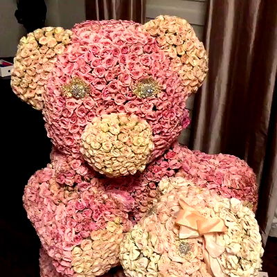 iamcardib iamcardib archive video