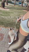 shir.moshe666 Altpins Profile Picture