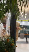 mai_glazer Altpins Profile Picture