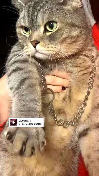 neomiconrad neomiconrad archive video