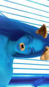 shir_moshe666 Altpins Profile Picture