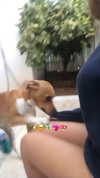 liem_sadan Altpins Profile Picture
