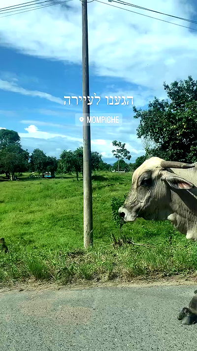 yasmin_kb yasmin_kb archive video