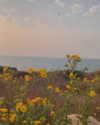 lianaayoun Altpins Profile Picture
