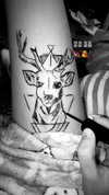 shir_moshe666 Altpins Profile Picture