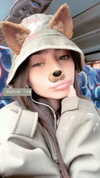 shir_moshe666 Altpins Profile Picture