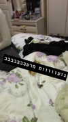 shir_moshe666 Altpins Profile Picture