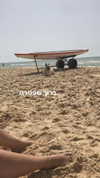 shir_moshe666 Altpins Profile Picture