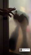 vampirec0wgirl Altpins Profile Picture