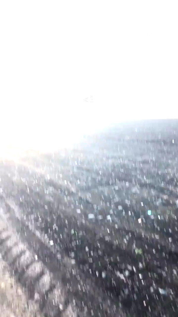 _adidahan archive video preview