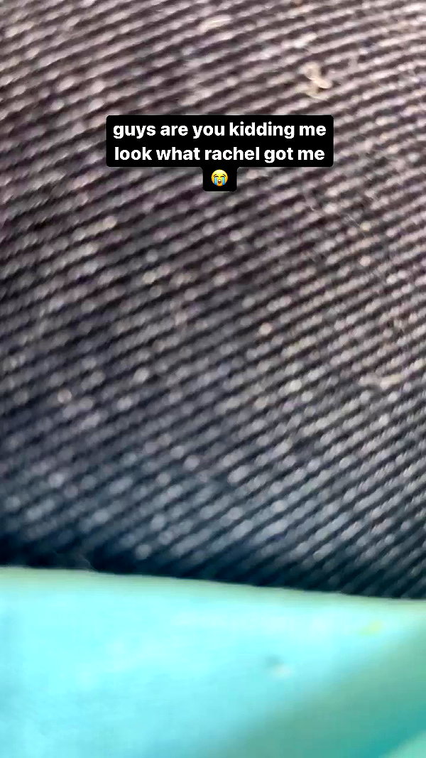 zaperwave archive video preview