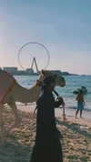 noam_alon1 Altpins Profile Picture