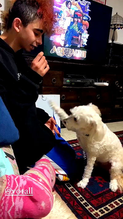 feelbetterinmysweater feelbetterinmysweater archive video