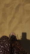 carla.famulari Altpins Profile Picture