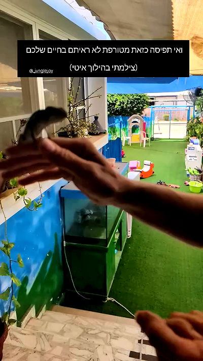 tinapavlov.sky tinapavlov.sky archive video