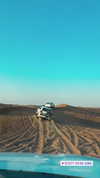 noam_alon1 Altpins Profile Picture