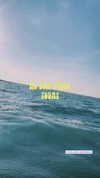 noam_alon1 Altpins Profile Picture