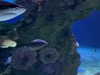 shvuty__ Altpins Profile Picture