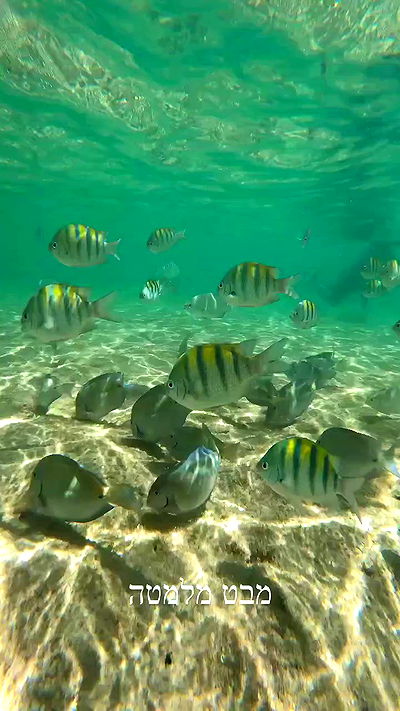 yasmin_kb yasmin_kb archive video