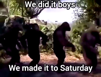 thelizzyporter thelizzyporter archive video