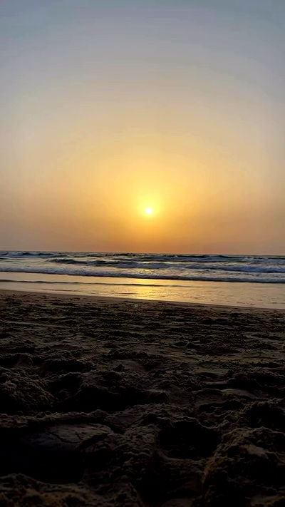 yam_adler yam_adler archive video