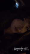 karerxxd Altpins Profile Picture