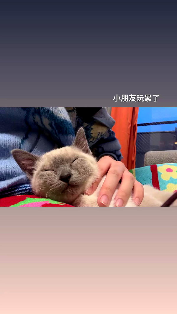 maomao.418 archive video preview