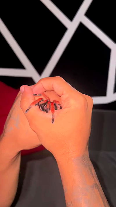 rebecka_tsadok rebecka_tsadok archive video