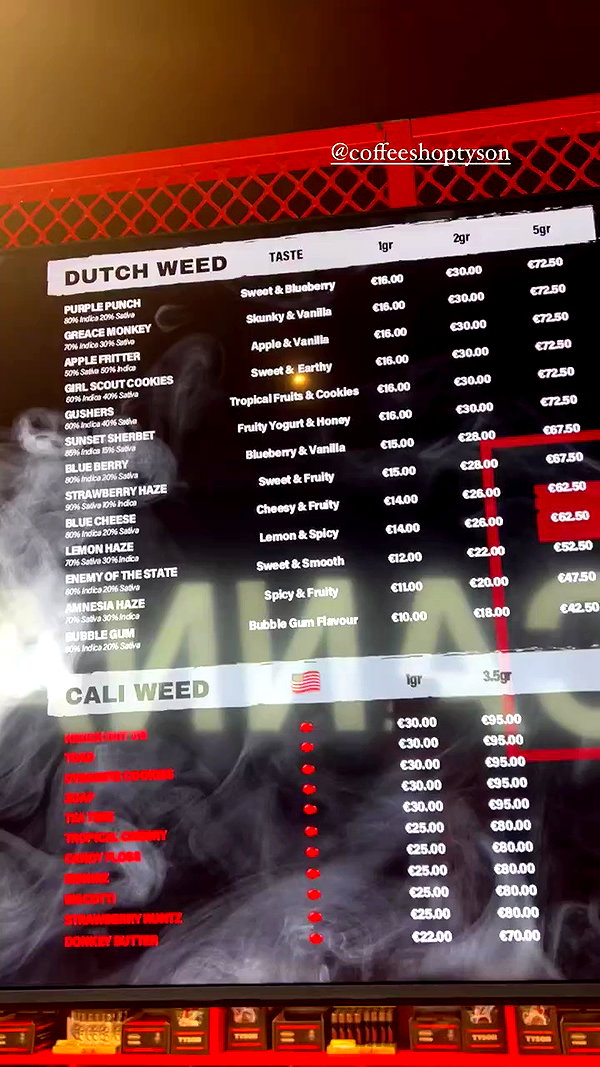 bakedsloths archive video preview