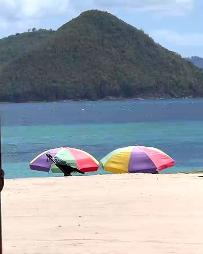 sophiemudd sophiemudd archive video