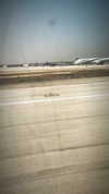 omer._shalom Altpins Profile Picture
