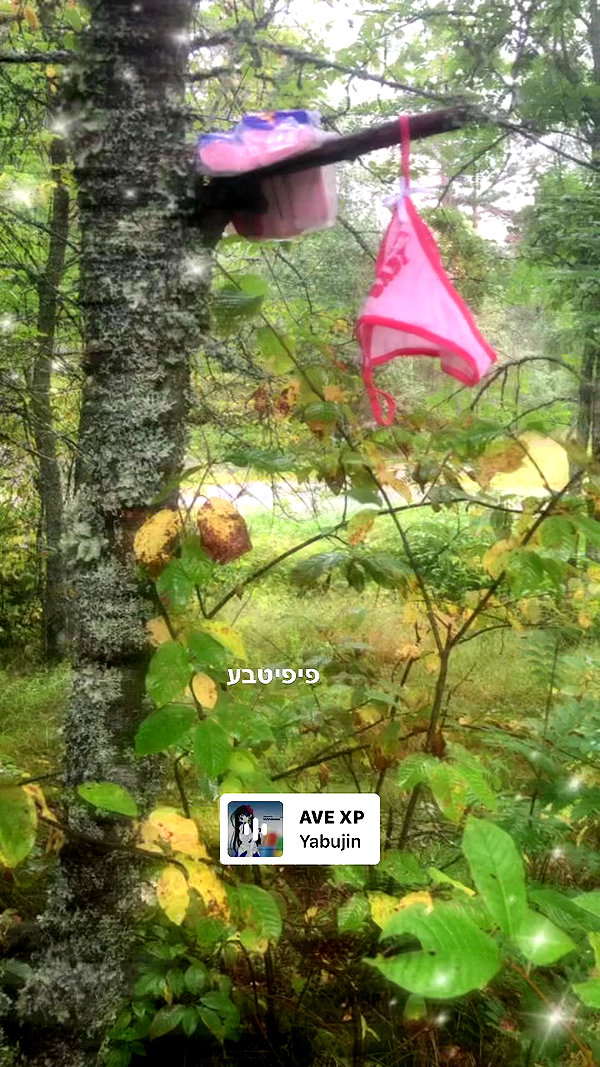 hilaxkitty archive video preview