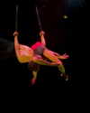 _mashachka_ Altpins Profile Picture