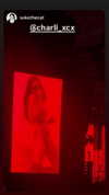 charli_xcx Altpins Profile Picture