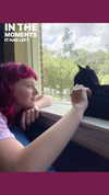 emmiencollins Altpins Profile Picture