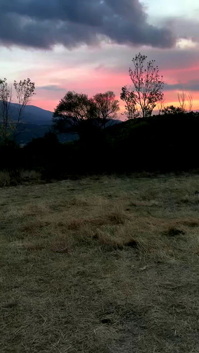 lilllush lilllush archive video