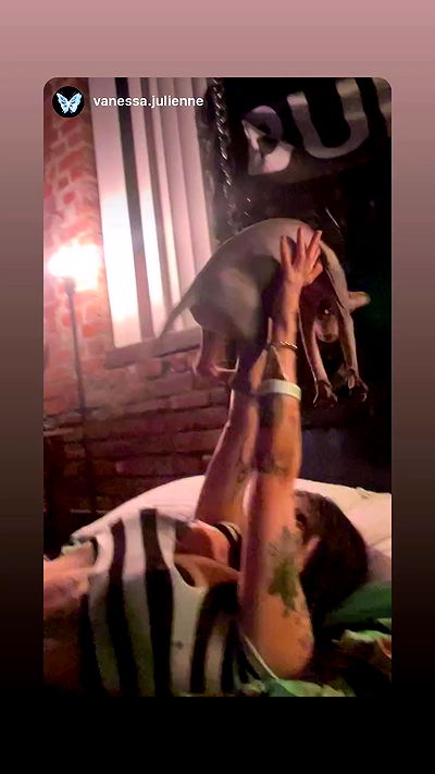 zommmbri zommmbri archive video