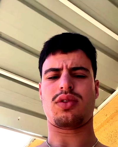 tuliprivet tuliprivet archive video