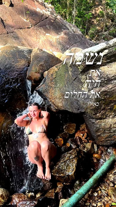 iambohema.v2 iambohema.v2 archive video