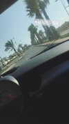 talyadahann Altpins Profile Picture