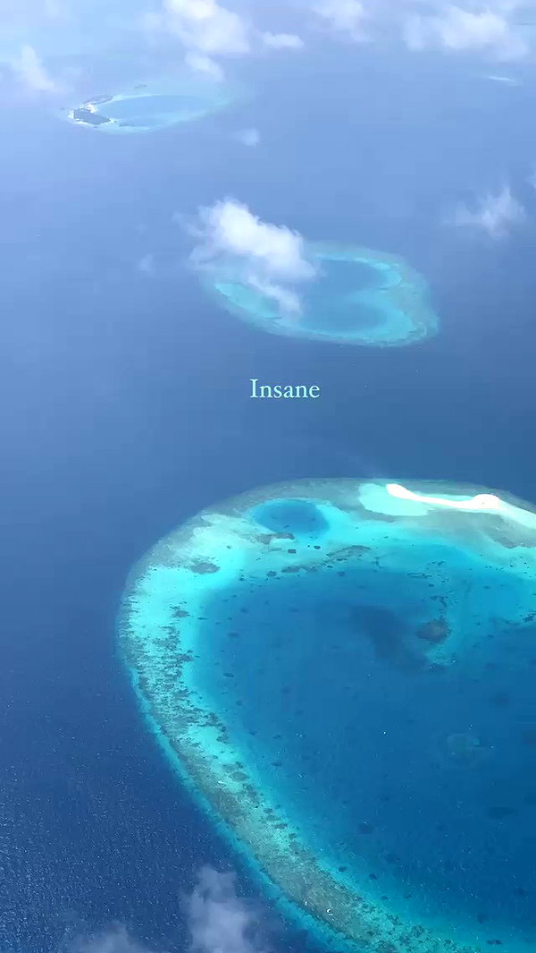 lizakovalenkoo archive video preview