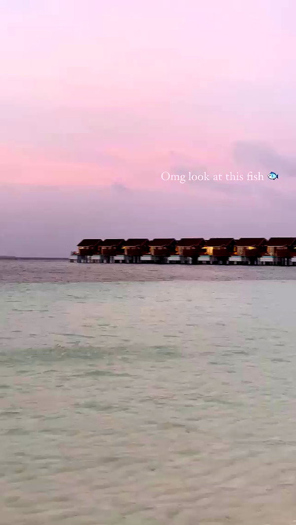 lizakovalenkoo archive video preview