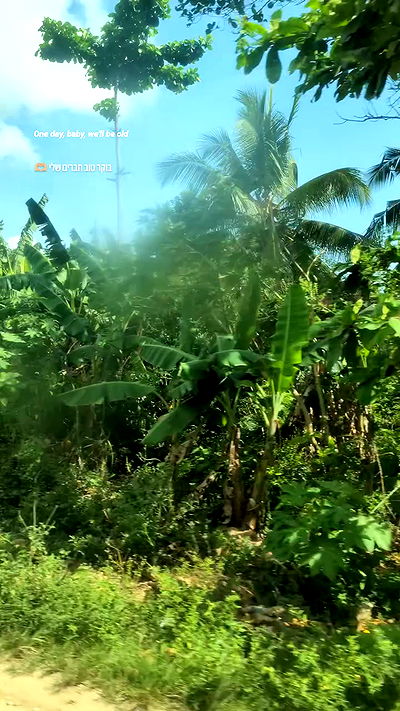 tinapavlov.sky tinapavlov.sky archive video