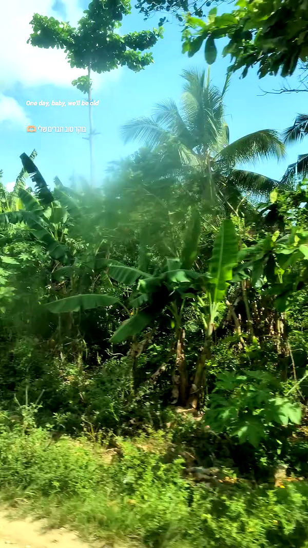 tinapavlov.sky archive video preview