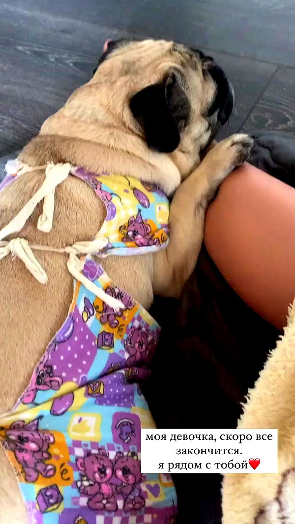 nyityam archive video preview