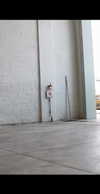 masood_boomgaard Altpins Profile Picture
